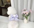 Load image into Gallery viewer, Harness Skirt - Purple