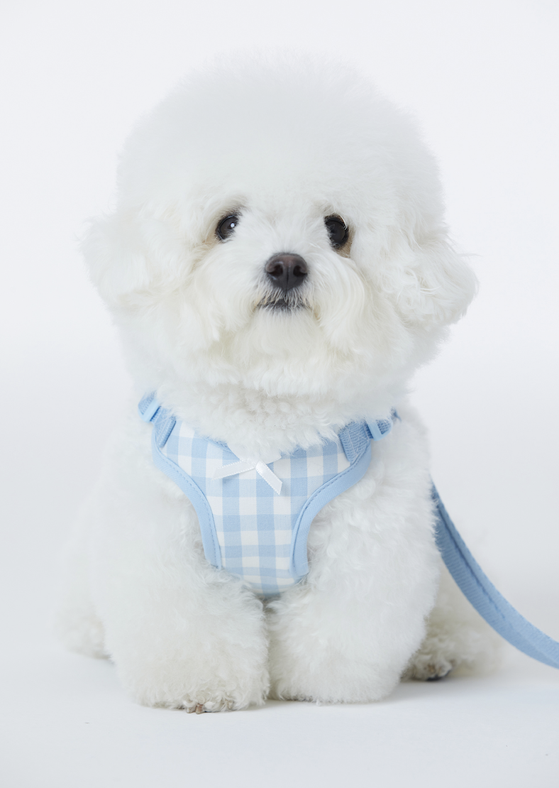 Sky Check Cushioning X Harness