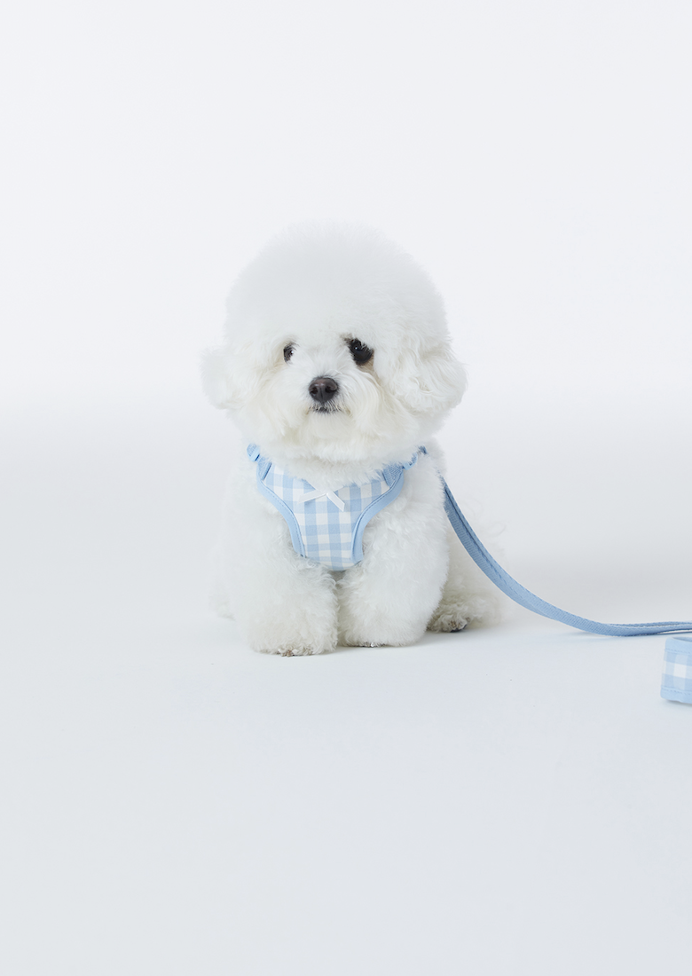 Sky Check Cushioning X Harness