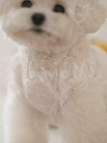 Load image into Gallery viewer, Fall In Love Sleeveless Dress - Pure White