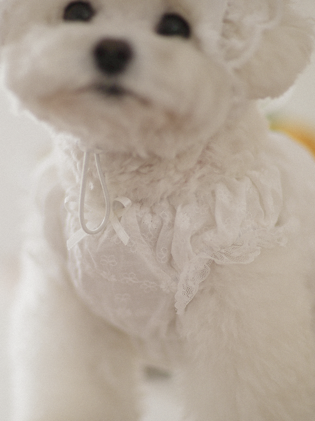 Fall In Love Sleeveless Dress - Pure White