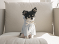 Load image into Gallery viewer, Striped Cotton Anorak
