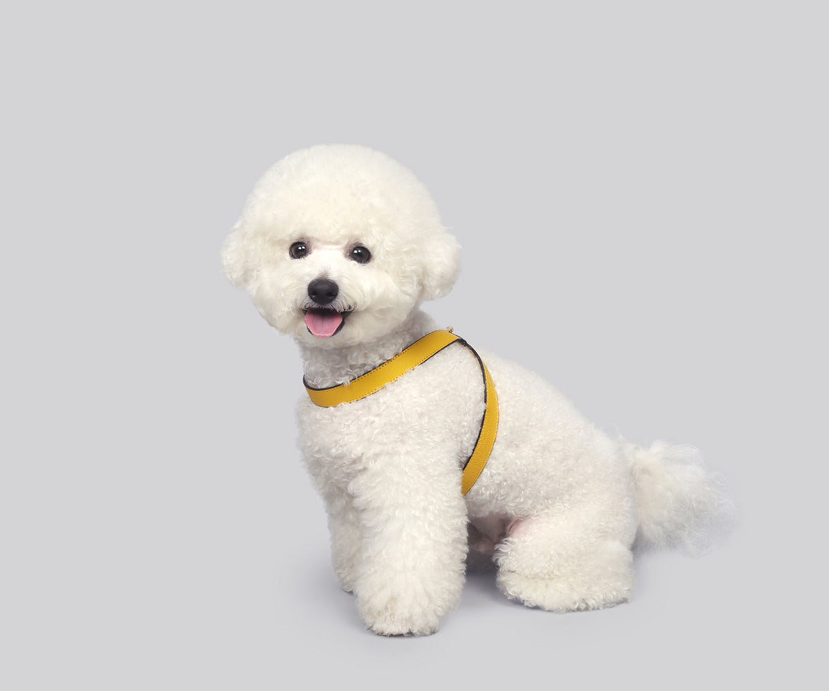 Single Tone VV Harness