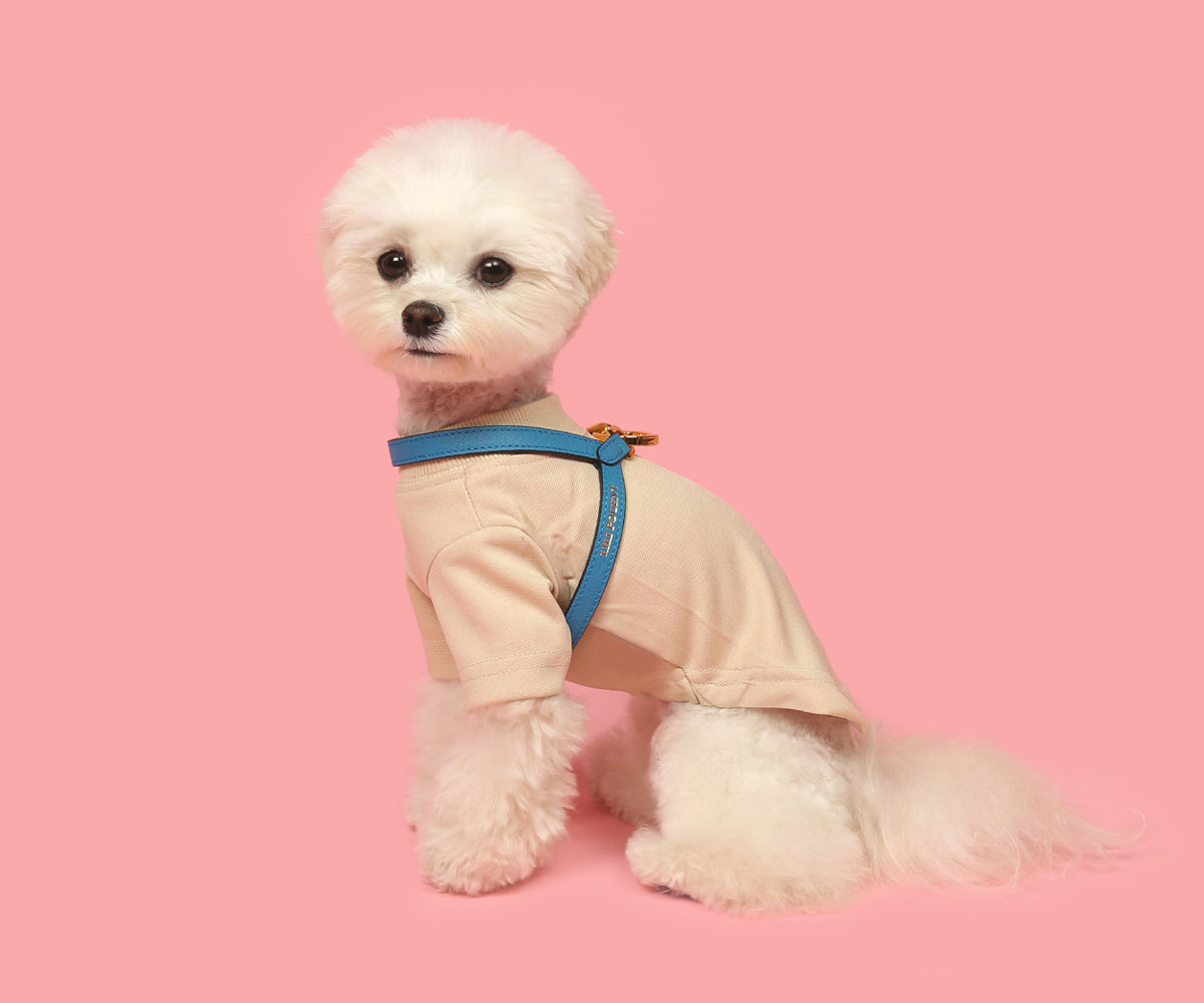 Single Tone VV Harness