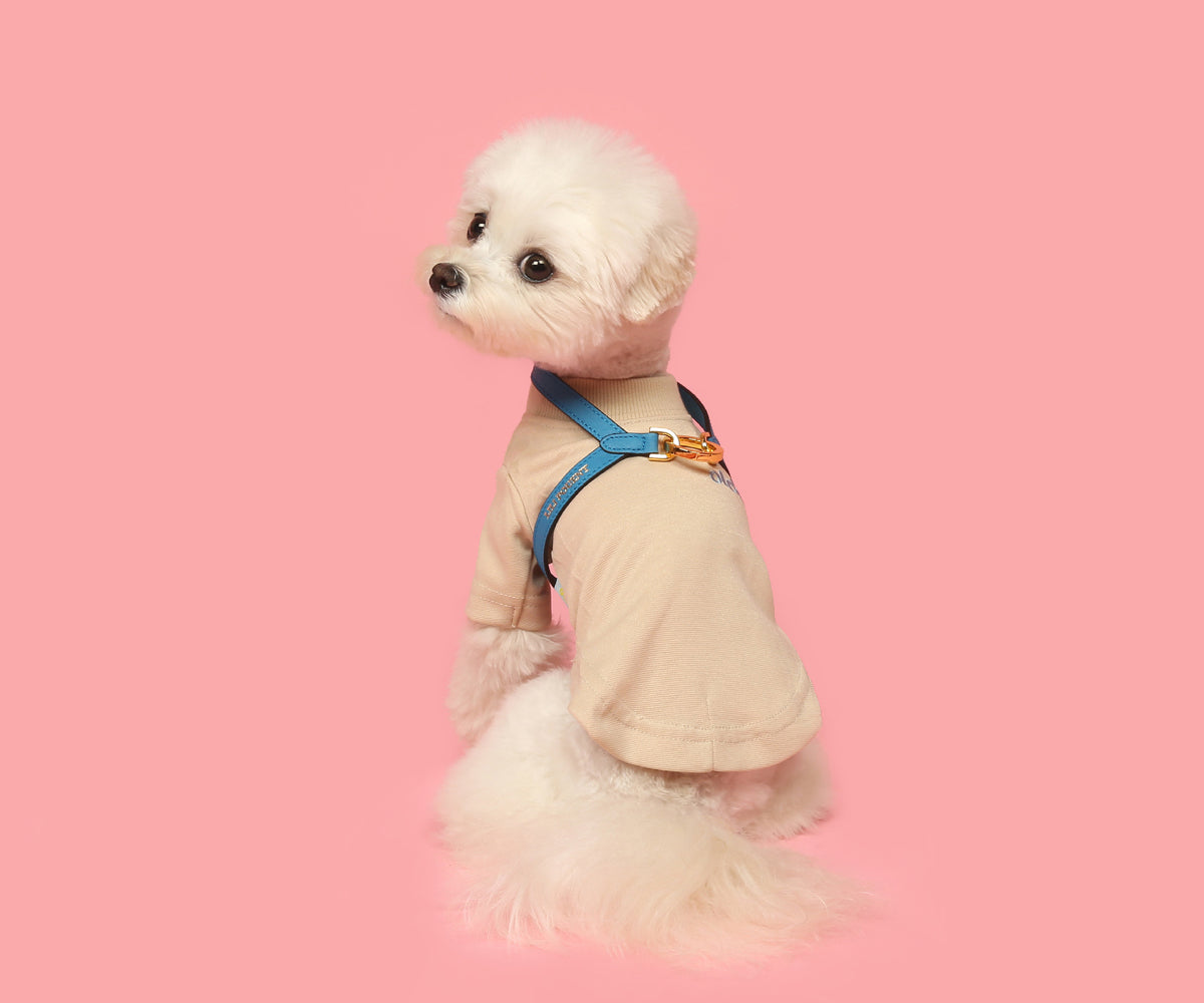 Single Tone VV Harness