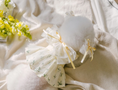 Load image into Gallery viewer, Tinkerbell Dress (S-5XL)