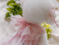 Load image into Gallery viewer, Tinkerbell Dress (S-5XL)
