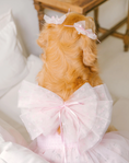 Load image into Gallery viewer, Tinkerbell Dress (S-5XL)