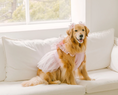 Load image into Gallery viewer, Tinkerbell Dress (S-5XL)