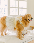 Load image into Gallery viewer, Tinkerbell Dress (S-5XL)