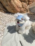 Load image into Gallery viewer, Triangle Hat