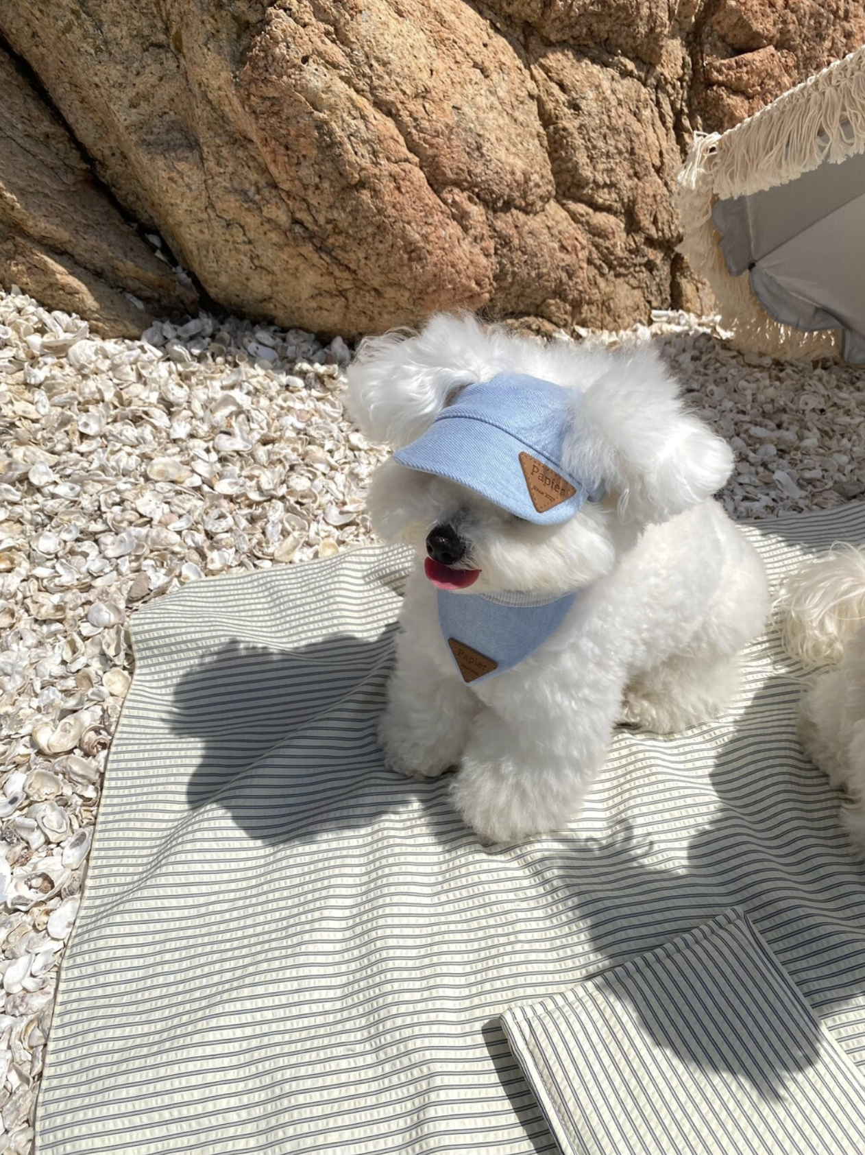 Triangle Hat