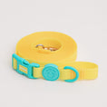 Load image into Gallery viewer, Waterproof Hands-free Leash (Vivid color)