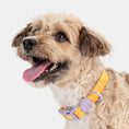 Load image into Gallery viewer, Waterproof Collar (Macaron)