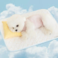 Load image into Gallery viewer, Ice Bear Cool Mat