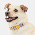 Load image into Gallery viewer, Waterproof Collar (Macaron)