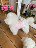 Load image into Gallery viewer, Cupid Bear Ops