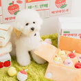 Load image into Gallery viewer, Mixed Fruits Box Nosework Toy