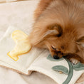 Load image into Gallery viewer, BonBon Green Fluffy Snuffy Nosework Book Toy