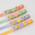 Load image into Gallery viewer, Waterproof Hands-free Leash (Macaron)