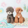 Load image into Gallery viewer, Bite Me x Pokori Friends Cool Mat