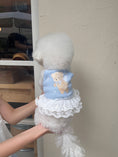 Load image into Gallery viewer, Cupid Bear Ops