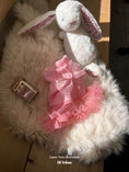 Load image into Gallery viewer, Lanni Tutu Sleeveless - Pink