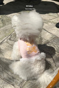 Load image into Gallery viewer, Vancci Bear Top - Pink
