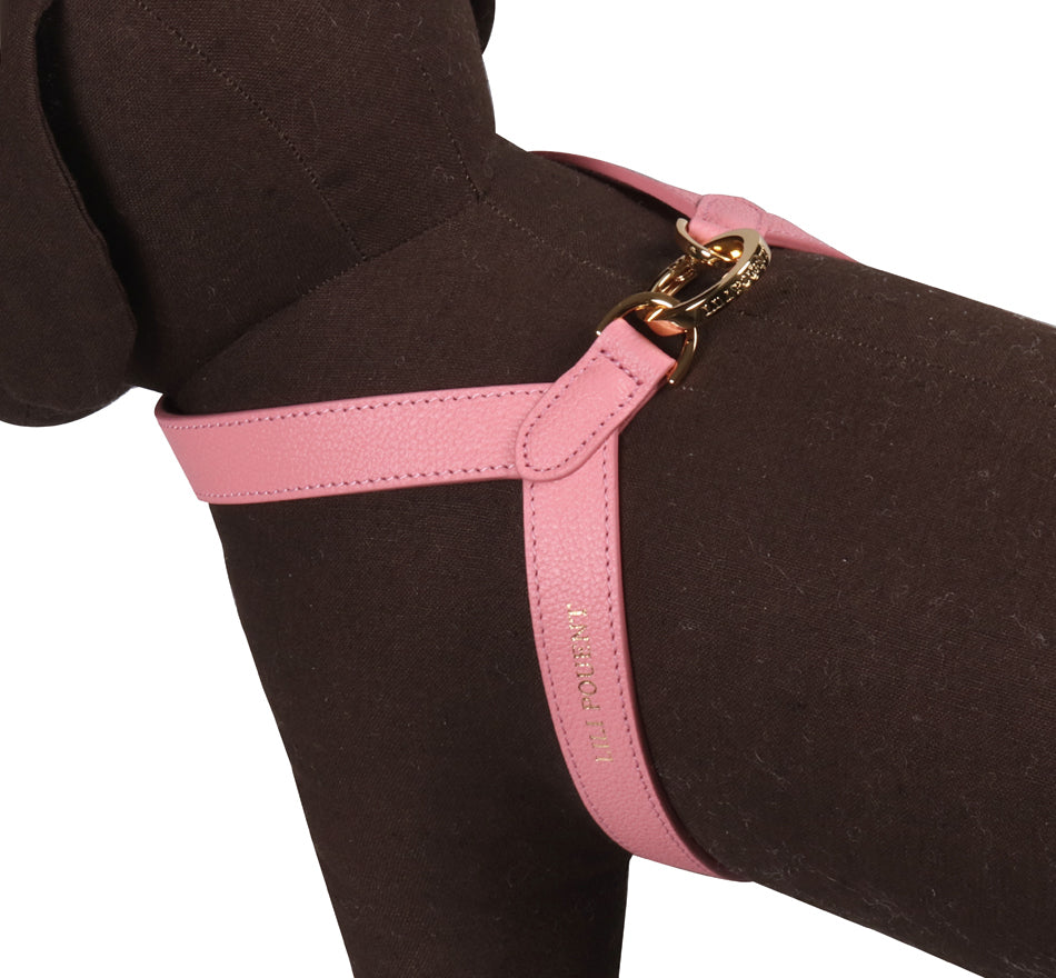 Single Tone VV Harness