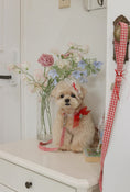 Load image into Gallery viewer, Love Letter Leash