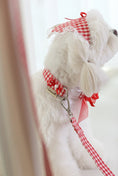 Load image into Gallery viewer, Love Letter Collar