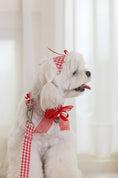 Load image into Gallery viewer, Love Letter Collar
