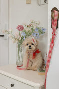 Load image into Gallery viewer, Love Letter Collar