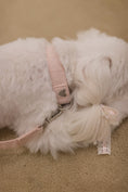 Load image into Gallery viewer, Princess Maker Collar
