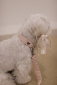 Load image into Gallery viewer, Princess Maker Leash