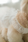 Load image into Gallery viewer, Spring Time Lace Ribbon Dress