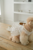 Load image into Gallery viewer, Spring Time Lace Ribbon Dress