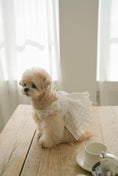 Load image into Gallery viewer, Spring Time Lace Ribbon Dress
