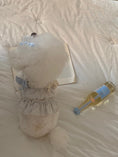 Load image into Gallery viewer, Soho Collection - Vintage Blue (Crop & Romper)