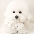Load image into Gallery viewer, Bichon Poop Bag Pouch
