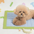Load image into Gallery viewer, Compact Picnic Mat