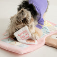 Load image into Gallery viewer, Bell Boy Bear Nosework Mat