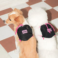 Load image into Gallery viewer, ACR Packable Dog Bagpack