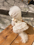 Load image into Gallery viewer, Ami Ballet Tutu - Ivory