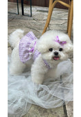 Load image into Gallery viewer, Margot Check Ops - Purple