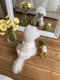 Load image into Gallery viewer, Cupid Bear Ops