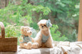 Load image into Gallery viewer, Little Forest All in One
