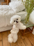 Load image into Gallery viewer, Cupid Bear Ops