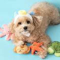 Load image into Gallery viewer, Sea Friends Toy