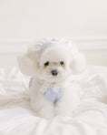 Load image into Gallery viewer, Sherbet Rose Bandana Blue